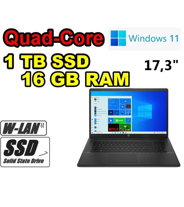 HP Notebook Intel Quad-Core ~ 1000GB (1TB) SSD ~ 16GB RAM ~ 17,3" WLAN Office Windows11