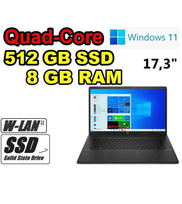 HP Notebook Intel Quad-Core ~ 500GB SSD ~ 8GB RAM ~ 17,3" WLAN Office Windows11